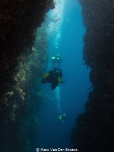 deepdivers by Marc Van Den Broeck 